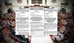 A un año de la disolución: altas y bajas en normas que aprobó el nuevo Congreso