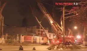 Municipalidad de Barranco evita caída de gigantesco árbol 