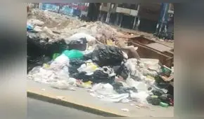 #YoDenuncio: acumulación de basura en óvalo Arriola alarma a vecinos [VIDEO]