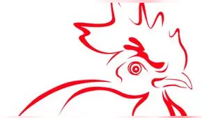 Predicciones del Horóscopo Chino 2019 para el Gallo en el Año del Cerdo