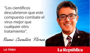 ¿El árbol de la quina sería la cura?