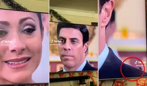 ¿Fue su ‘debut’ actoral? Cucaracha en una escena de la telenovela “Rubí” impacta a miles