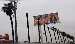 Elecciones 2018: acusan a Esther Capuñay de cortar palmeras para colocar propaganda política