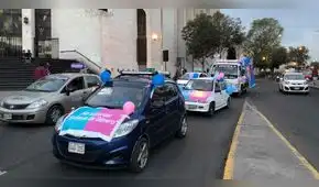 Arequipa: Poca convocatoria en marcha de colectivo contra el enfoque de género [VIDEO]