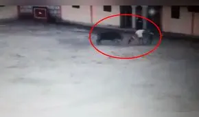 Varón murió tras recibir varias cornadas en Cusco [VIDEO]