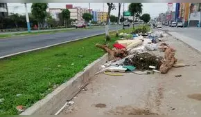 Callao: basura acumulada impide tránsito en ciclovía 
