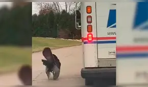 Pavo furioso por Acción de Gracias ataca a los repartidores cuando se acercan a su casa [VIDEO]