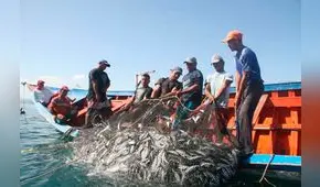 Siete de cada diez pescados no son realmente los que le ofrecen