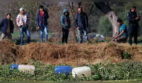 Explosión en México: AMLO confirmó que son 91 los fallecidos en ducto de Pemex