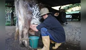 Hoy publican reglamento de la leche y productos lácteos