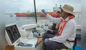 Protegiendo la vida en Paracas [VIDEO]