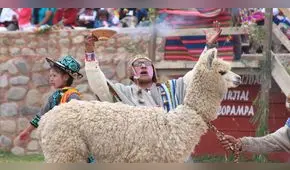 Arequipa: Huancarama organiza cierre de carnavales con danzas y caminata con llamas [FOTOS]