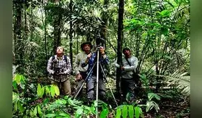 Cusco: realizarán limpieza en red de Caminos Inca
