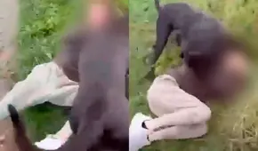 Padre simuló ser su hija de 12 años para encontrarse con su acosador y atacarlo con 2 pitbulls