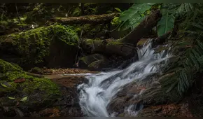 Cajamarca:  Gobierno Regional protegerá fuente de agua para San Ignacio