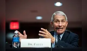 Epidemiólogo de la Casa Blanca habla sobre la nueva gripe porcina con potencial pandémico