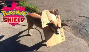 Pokémon Shield and Sword: nuevo juego de Pokémon provoca graciosos memes [FOTOS]