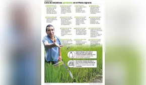 Lista de iniciativas aprobadas en el Pleno Agrario [INFOGRAFÍA]