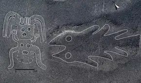 ¿Cuántos geoglifos se han descubierto en Nazca? Esta es la impactante cifra