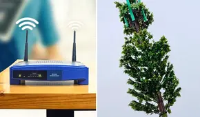 MTC sobre antenas ‘tipo árbol': “Son más modernas y amigables con el paisaje” 