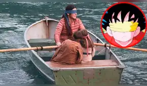 Gokú realiza el ‘Bird Box Challenger’ y el resultado se vuelve viral en las redes [VIDEO]