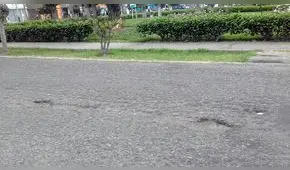 Surquillo: pista necesita ser reparada ante presencia de baches