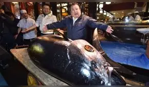 Hombre en Japón paga más de 3 millones de dólares por un atún gigante