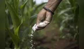 Oficializan ley que reduce temporalmente costos de urea y otros insumos importados