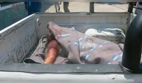 La Libertad: muere “Gordo Julio” tras motín en Challapalca