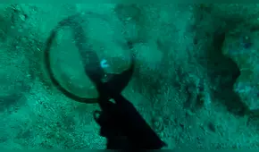 Hombre encuentra anillo bajo el mar, lo examina y descubre que tiene incrustada una piedra preciosa  [VIDEO]