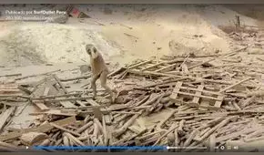  Evangelina Chamorro: “Pensé darme por vencida, pero le pedí a Dios que me dé fuerzas”