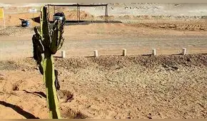 Southern quiere sacar  Tía María antes de julio