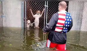 EE.UU.: el conmovedor rescate de perros encerrados durante huracán Florence