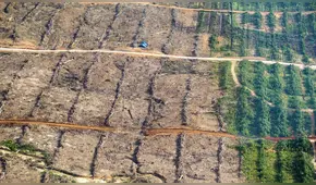 Deforestación en la Amazonía alcanza su pico más alto en los últimos 12 años