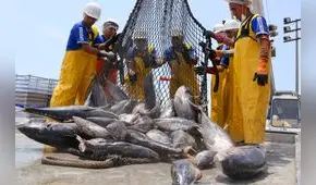 SNI alerta que peligran 5 mil puestos de empleo en la industria atunera del país