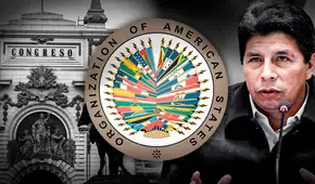 Colegio de Periodistas rechaza informe preliminar de Grupo de Alto Nivel de la OEA