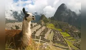 Feriados largos: jueves 31 de octubre será día no laborable para sector estatal 