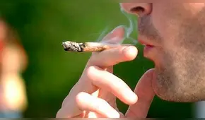 Morena propone ley que autorice el consumo de marihuana en espacios públicos