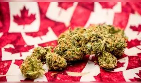 Más personas consumen marihuana en Canadá tras su legalización