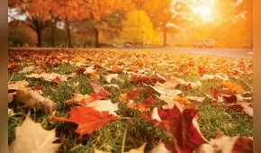 Hoy inicia el otoño 2020 y Google lo celebra con un particular doodle