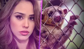 Yanet García publica mensaje animalista por pandemia 