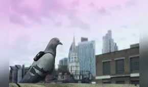 ¿Cómo luchan las grandes ciudades contra la contaminación ambiental?