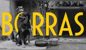 Roma: Alfonso Cuarón comparte la 'Cumbia del Borras'