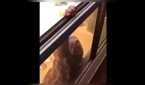 Mujer que grabó a empleada doméstica cayendo al vacío fue condenada a cárcel