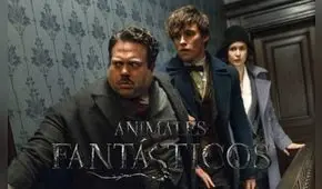 Actor de Animales fantásticos 3 revela que la cinta tendrá “una gran guerra”