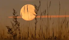 Luna de cosecha 2019: el espectacular fenómeno astronómico que puedes seguir EN VIVO hoy, viernes 13 de septiembre