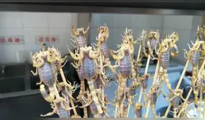 China te “encantalá”. Conoce  la comida exótica de China | VÍDEO Y FOTOS