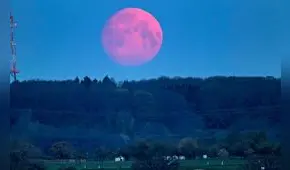 Luna Rosa: así se vivió el gran evento astronómico