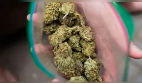 Denuncia mala calidad de su marihuana y lo arrestan [FOTOS]