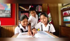 Consejo Nacional de Educación: “Anular el Currículo Escolar sería nefasto”